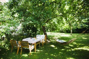 Table and chairs and a hammock under a tree.