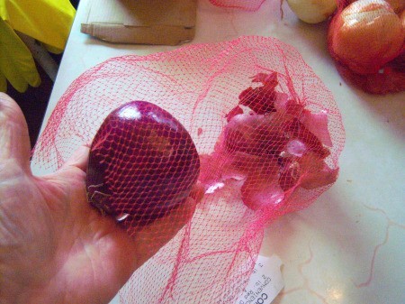 An onion in a mesh produce bag, with the paper peel left behind.