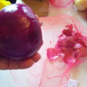 A peeled onion with the peels in a mesh produce bag.