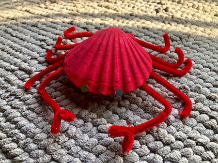 Making a Crab from a Scallop Shell - scallop shell crab