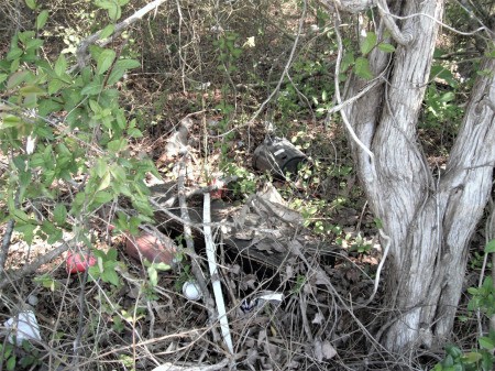 Make a Difference By Picking Up Trash - trash in wooded area