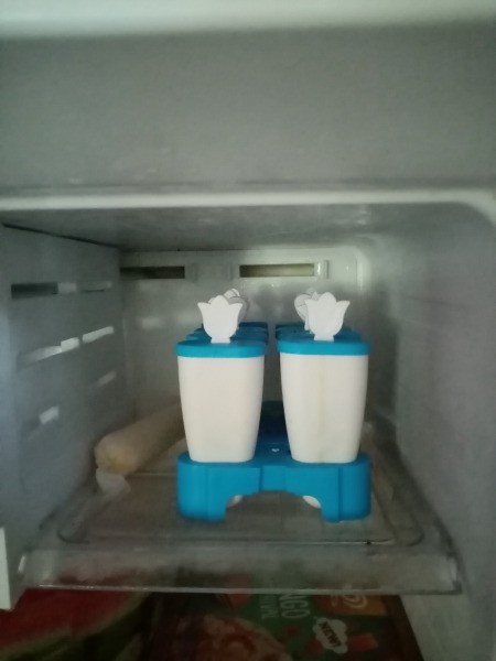 filled molds in freezer