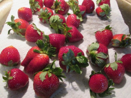strawberries on paper towels