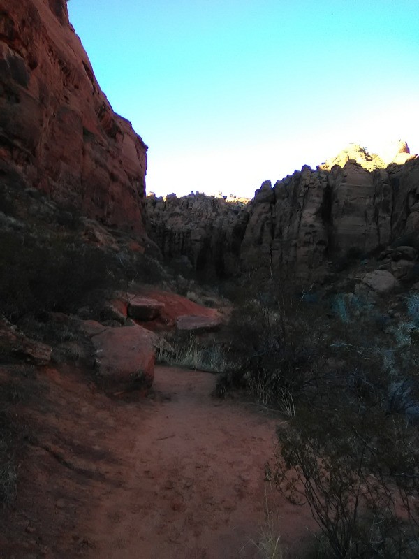 A rocky desert path