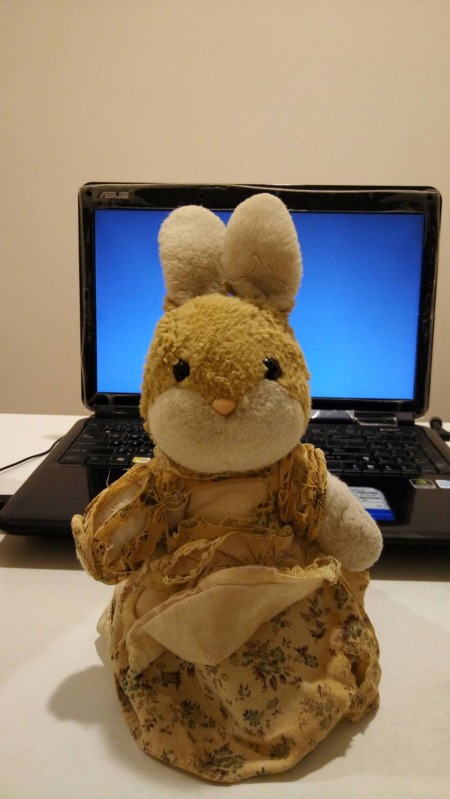 Identifying a Stuffed Bunny - bunny wearing a floral dress