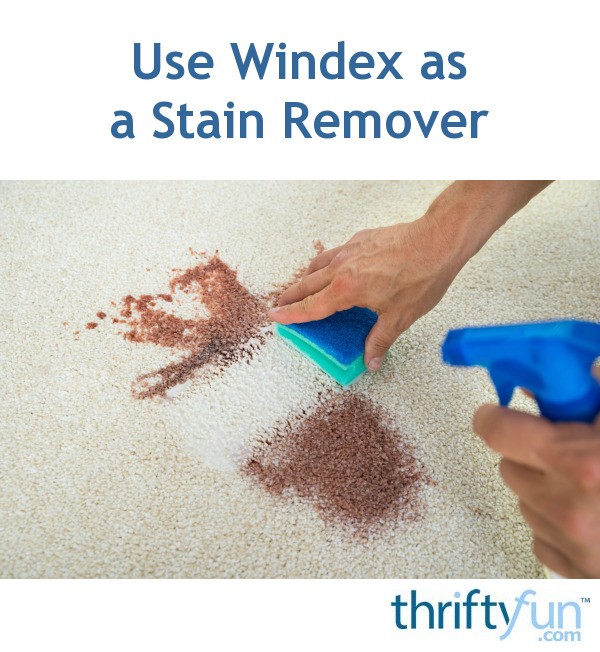 Use Windex as a Stain Remover ThriftyFun