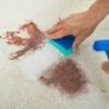 Hands cleaning a stain on a carpet.