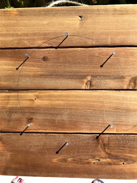 DIY Staghorn Fern Mount - hammer in nails spaced around the circle