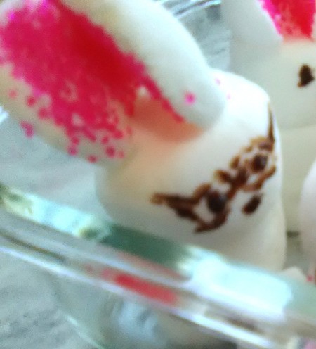 Marshmallow Peepsters - place in the freezer to harden the chocolate