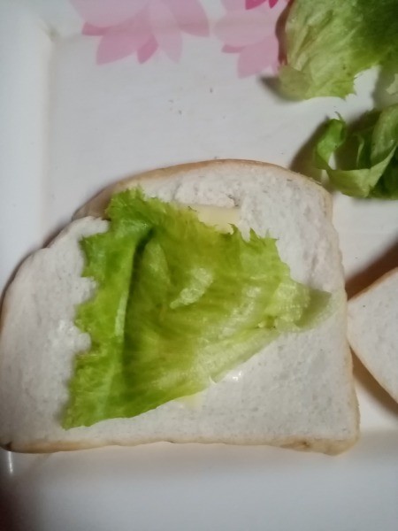 adding lettuce to bread