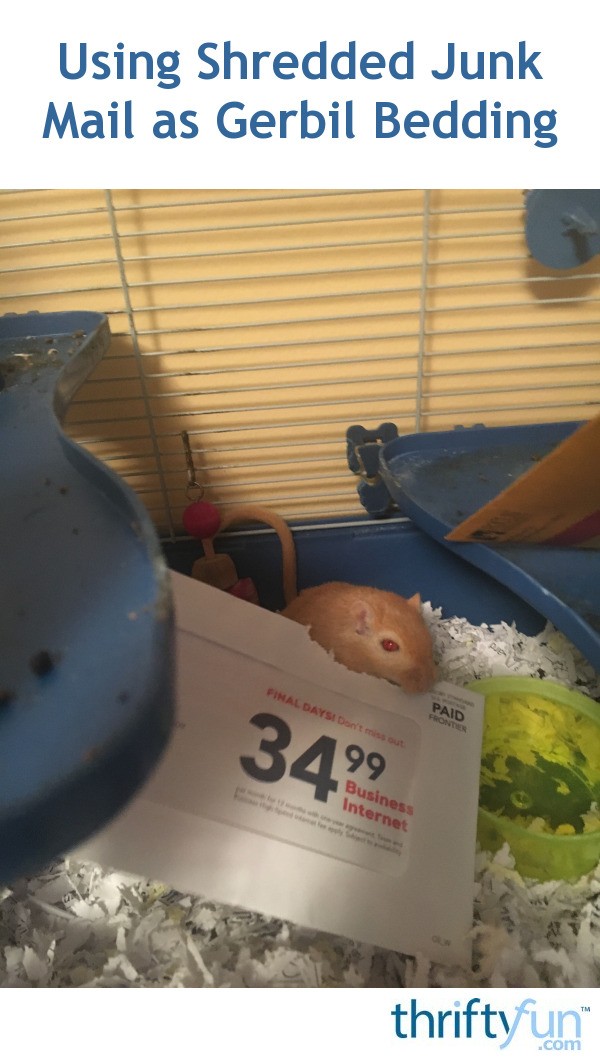 Using Shredded Junk Mail as Gerbil Bedding ThriftyFun