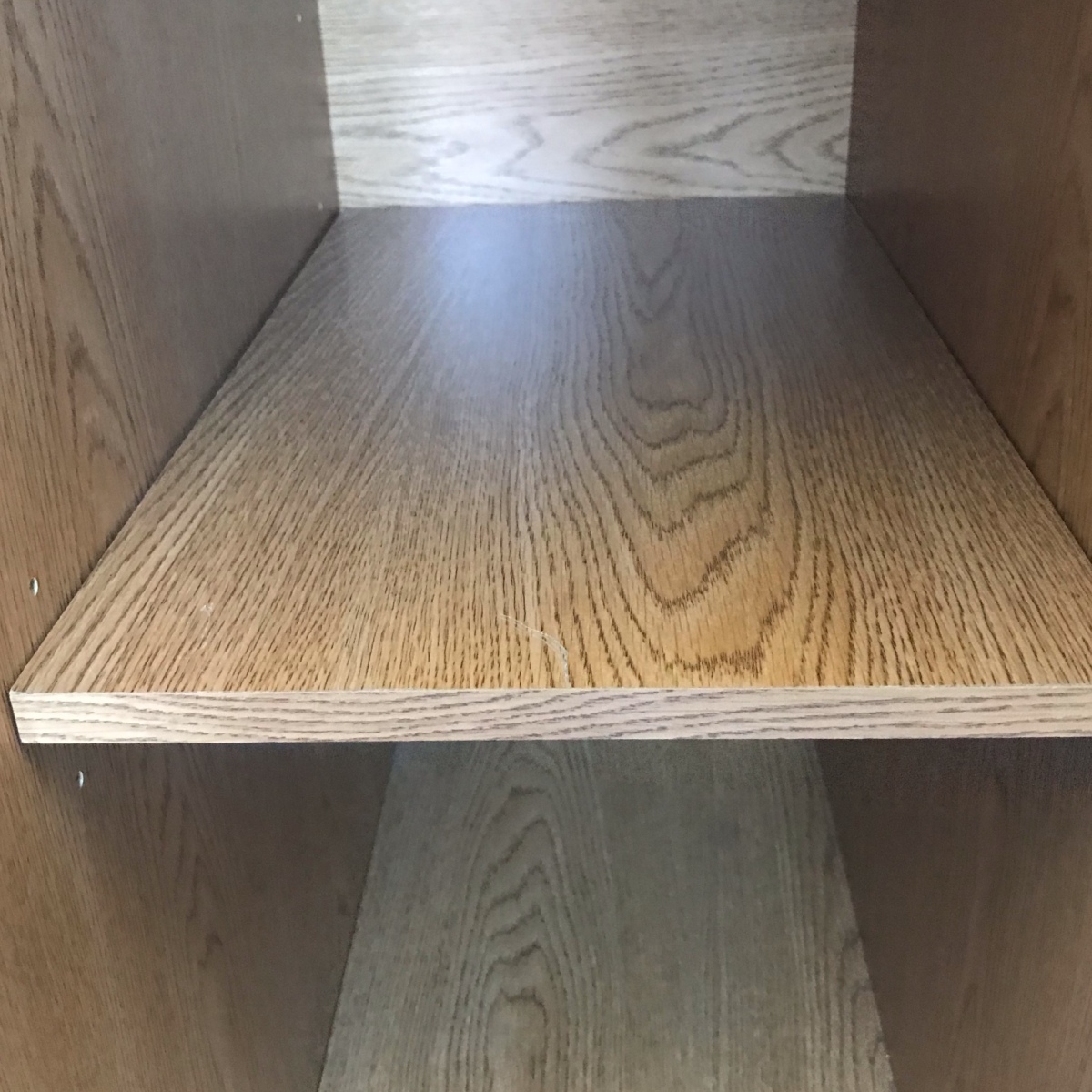 Using a Screw as a Missing Shelf Peg ThriftyFun