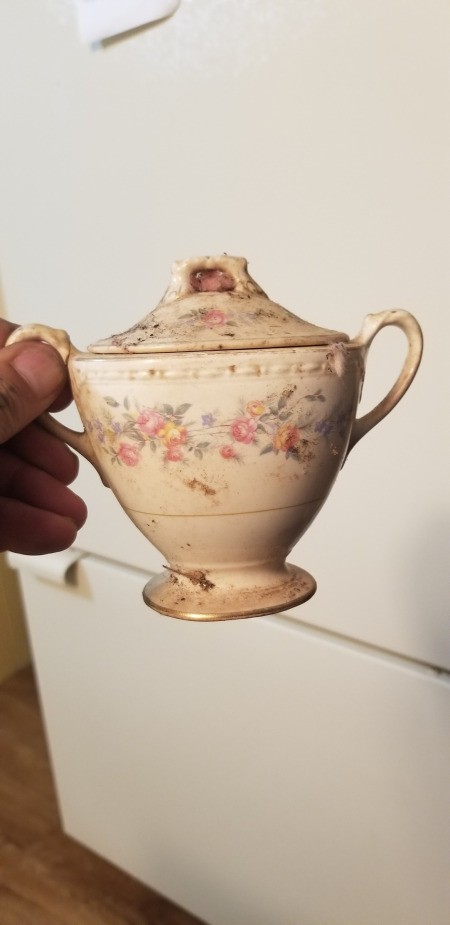 Eggshell georgian clearance homer laughlin china