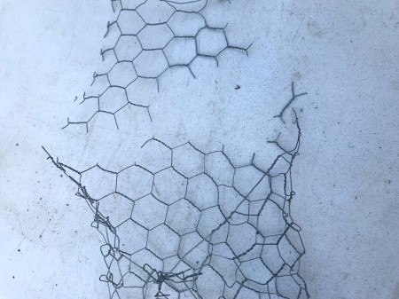 DIY Hanging Envelope Planter - cut off the flap