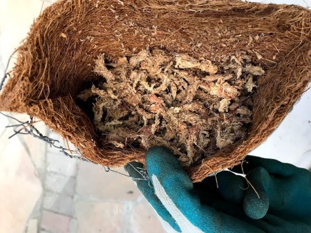 DIY Hanging Envelope Planter - hydrated moss in the planter