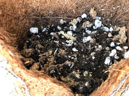 DIY Hanging Envelope Planter - add soil