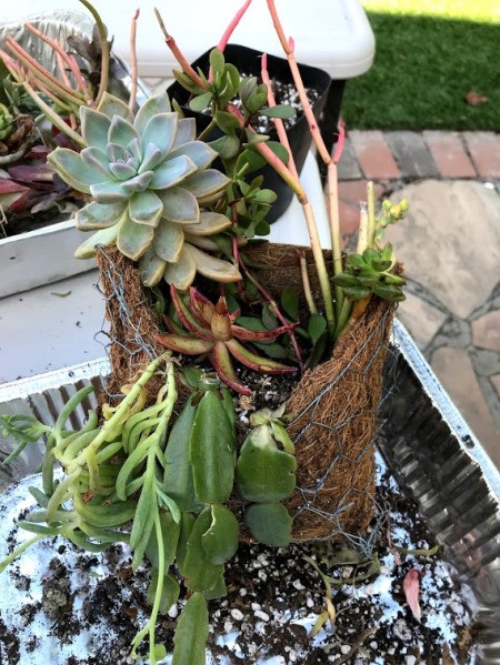 DIY Hanging Envelope Planter - continue