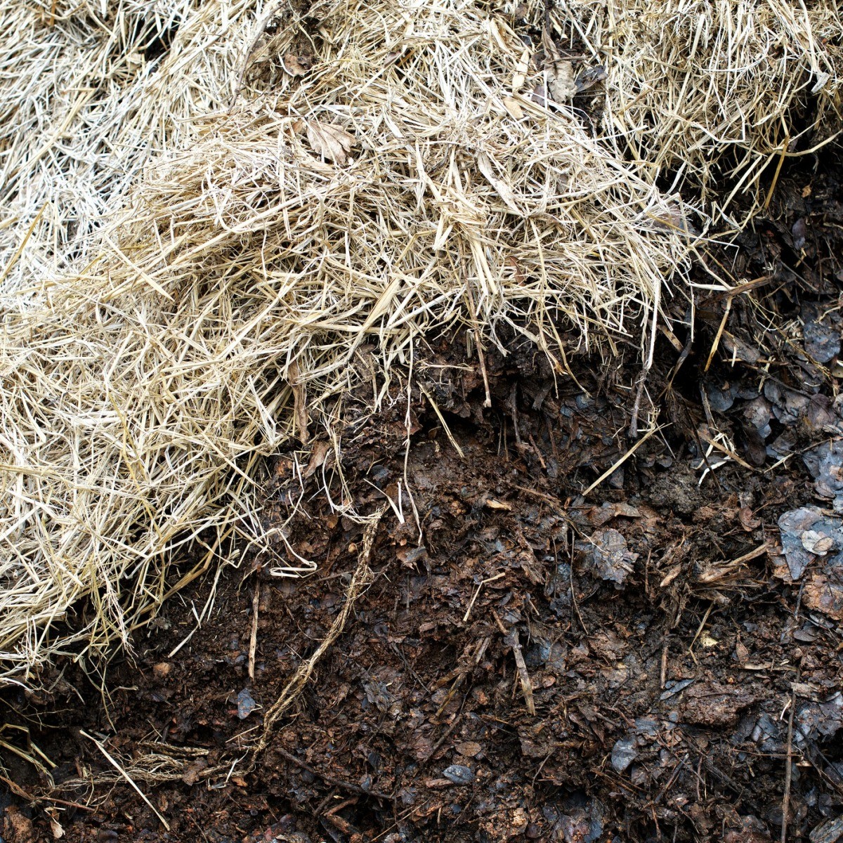 Composting Straw? ThriftyFun