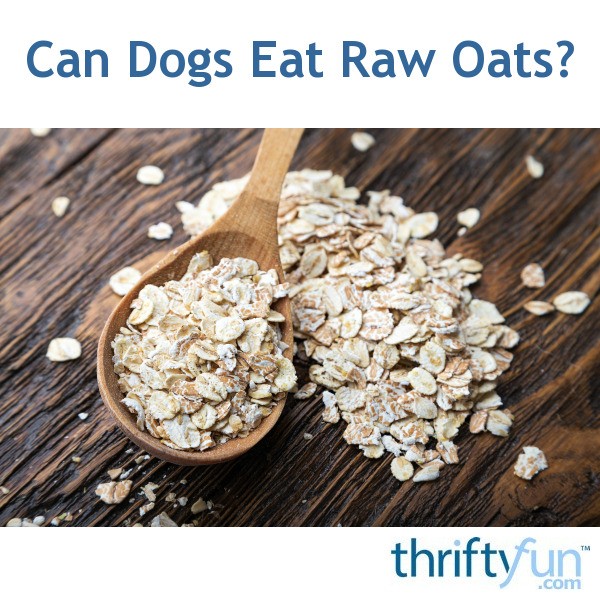 whole grain oats for dogs