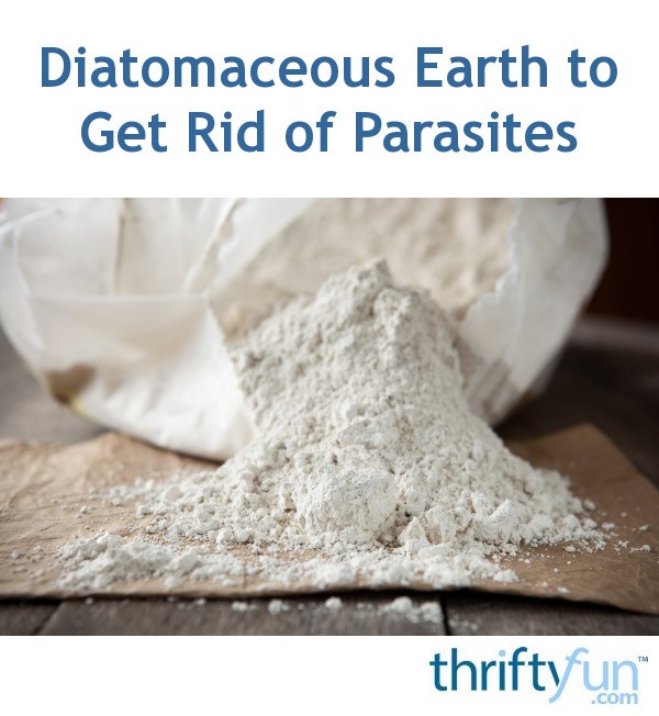 Diatomaceous Earth to Get Rid of Parasites | ThriftyFun