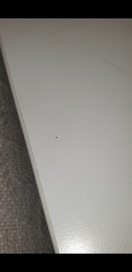 Identifying Tiny Bugs