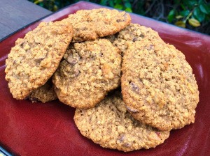 Chewy Oatmeal Chocolate Chip Walnut Cookies (GF)