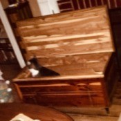 Age of a Murphy Cedar Chest - open chest