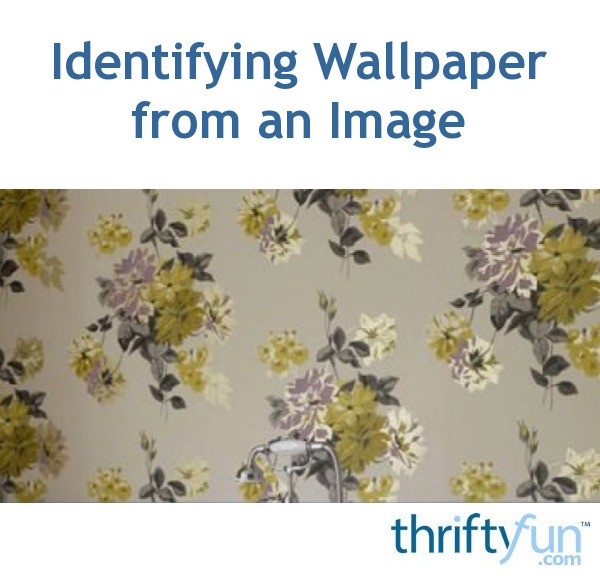 Identifying Wallpaper from an Image? ThriftyFun