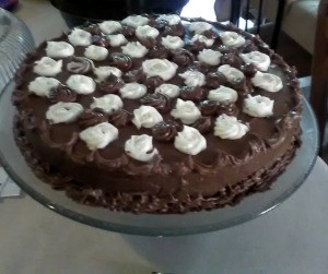 A single layer chocolate cake