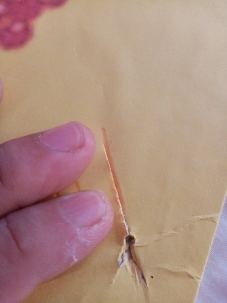 Flower Vase Mother's Day Card - cut slots