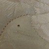 Identifying Household Bugs - bug on mattress