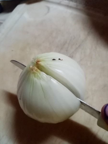 cutting Onion