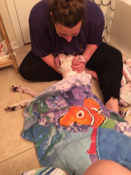 Reason for Dog's Sudden Death - woman holding dog's head