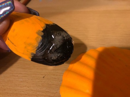 Make a Cute Fox from Shells - put a blob of glue on the unpainted portion of the mussel shells