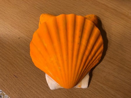 Make a Cute Fox from Shells - quickly glue to the scallop shell as shown