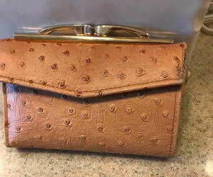 A small leather pocketbook.