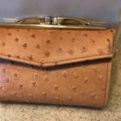 A small leather pocketbook.