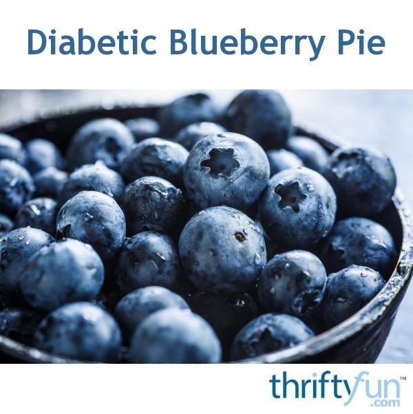 Diabetic Blueberry Pie ThriftyFun