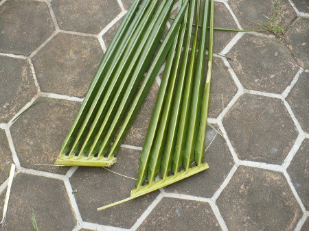 Weaving Coconut Leaf Plates - cut into 4 sections