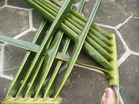 Weaving Coconut Leaf Plates - begin weaving