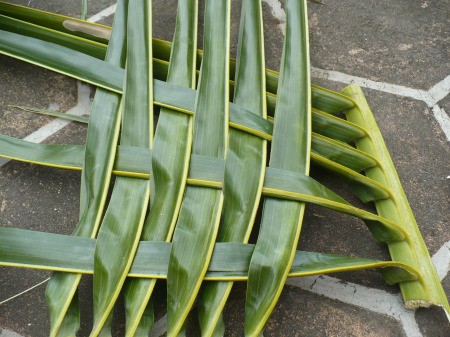 Weaving Coconut Leaf Plates - weaving in process, over and under, then under and over for the next section