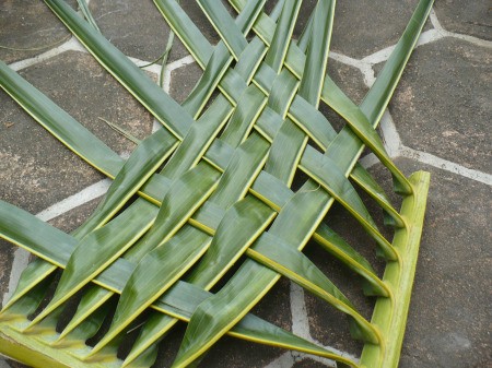Weaving Coconut Leaf Plates - last row