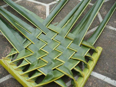Weaving Coconut Leaf Plates - tightened weaving with 4 leaf parts sticking out on each side
