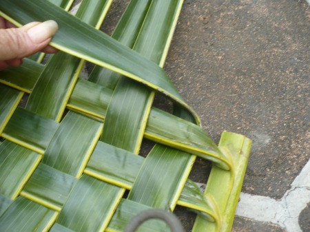 Weaving Coconut Leaf Plates - leaf turned at a 90 degree angle