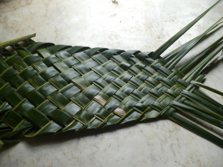 Weaving Coconut Leaf Plates - plate getting longer