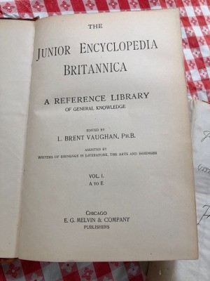 Value of Junior Encyclopedia Brittanica 1897 - cover page