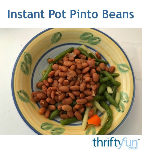 Instant Pot Pinto Beans ThriftyFun