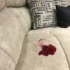 A glass of wine spilled on a upholstered fabric couch.