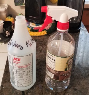 Reuse Spray Nozzle on Bottles