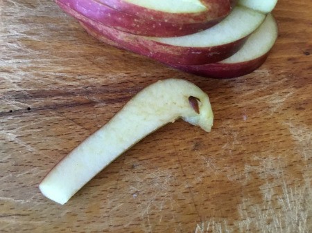 Edible Apple Swan - press a seed into each side of the head